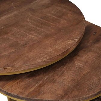 Salontafelset2 pcs Donkerbruin Massief mangohout en staal 8