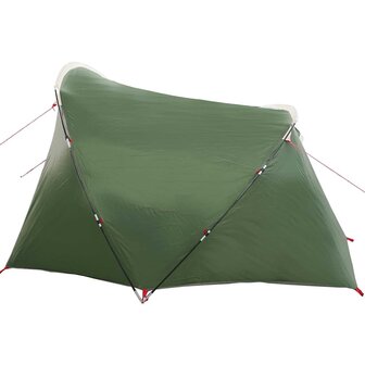 Tunnel Tent 4-Person met dak Groen en Wit 318 x 275 x 140 cm 7