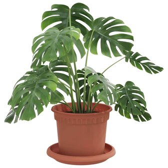 Plantenpotten 24 pcs Baksteenrood &Oslash; 12,5 x 10 cm Kunststof 3