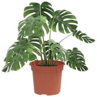 Ronde Bloempot 6 pcs Baksteenrood &Oslash; 12,5 x 10 cm Kunststof 3