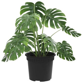Ronde Bloempot 6 pcs Zwart &Oslash; 12,5 x 10 cm Kunststof 3