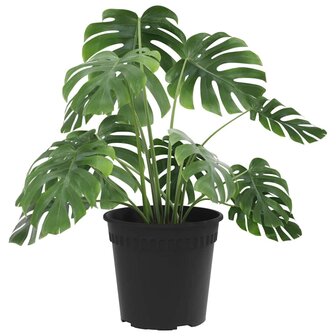 Ronde Bloempot 6 pcs Zwart &Oslash; 17 x 14 cm Kunststof 3