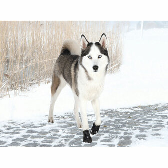 Hondenschoenen Trixie 3