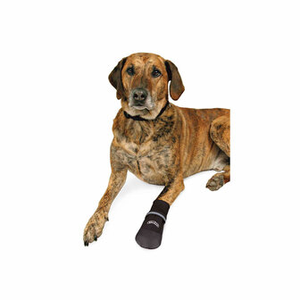 Hondenschoenen Trixie Walker Care Comfort Zwart XXL 3