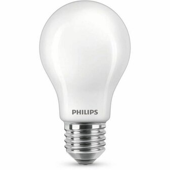 Ledlamp Philips 100 W E27 1