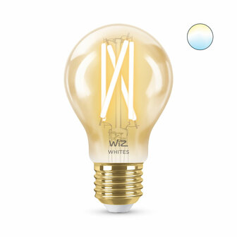 Gloeilamp Wiz Multicolour Gouden F 7 W 50 W E27 3