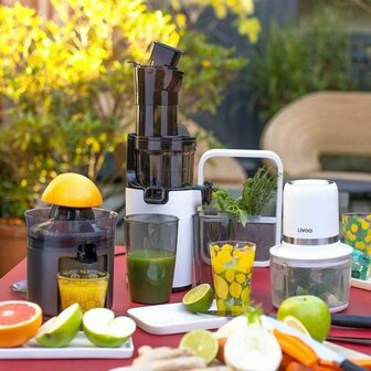 Hakmolen Livoo Chopper Wit Staal 200 W 1,2 L 5