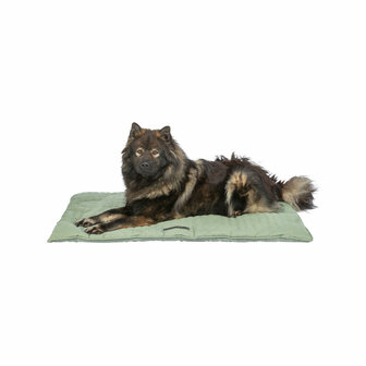Hondenmatras Trixie 70 &times; 50 cm Hond 3