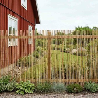 Tuinhek Gecarboniseerd riet 500 x 100 cm 3