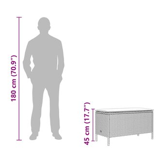 Tuinvoetenbank met kussen Zwart 80 x 38 x 45 cm PE Rattan 12