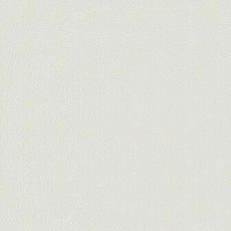 Vloerstoel Wit 55 x 61 x 70 cm Nep Leer 10
