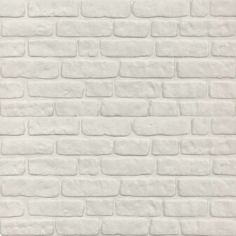 Wandpanelen 10 pcs Wit 100 x 50 cm EPS-schuim 4