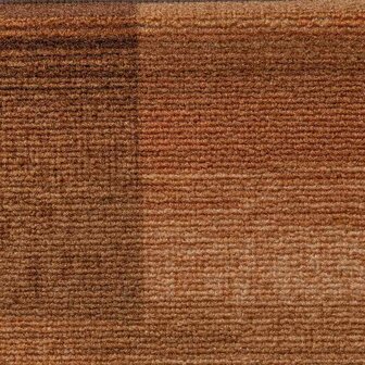 Trapmatten zelfklevend 5 st 65x21x4 cm bruin 8