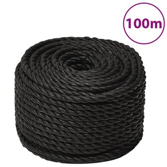 Werktouw 10 mm 100 m polypropeen zwart 1