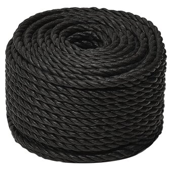 Werktouw 10 mm 100 m polypropeen zwart 2