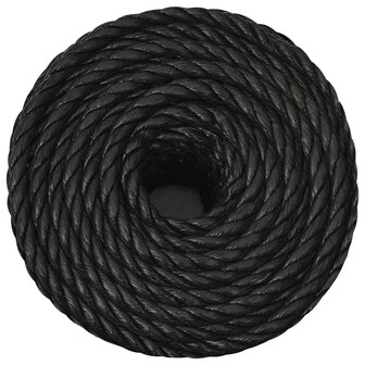 Werktouw 10 mm 100 m polypropeen zwart 3