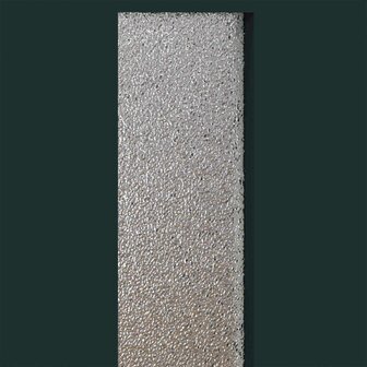 Voordeur Antracietkleurig 98 x 200 cm PVC 4