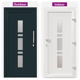 Voordeur Antracietkleurig 98 x 200 cm PVC 8