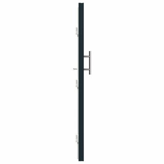 Voordeur Antracietkleurig 98 x 200 cm PVC 9