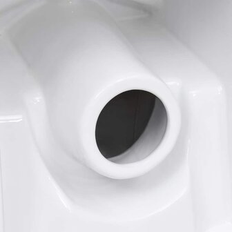 Toilet met afvoer achter keramiek wit 9