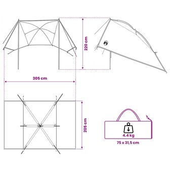 Autotent Legergroen 308 x 215 x 220 cm Polyester en staal 10