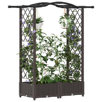 Verhoogde tuinbak met Trellis en Dak Bruin 124 x 40 x 123 cm PP 3