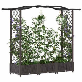 Verhoogde tuinbak met Trellis en Dak Bruin 169 x 40 x 123 cm PP 3