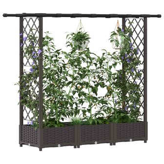 Verhoogde tuinbak met Trellis en Dak Bruin 164 x 40 x 121 cm PP 3