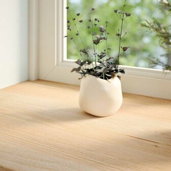 Vensterbanken 2 st onbehandeld 120x25x2 cm massief eikenhout 3