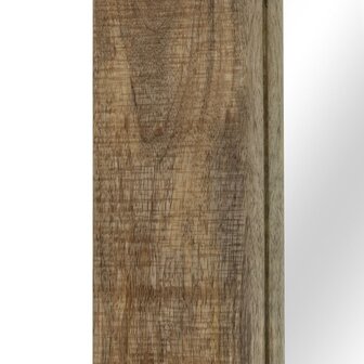 Spiegel 50x110 cm massief mangohout 4