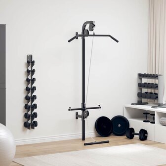 Home gym met 2 katrollen wandgemonteerd 1