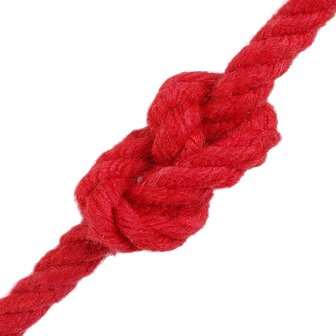 Touw Rood 0,8 x 0,8 x 2500 cm Katoen 3