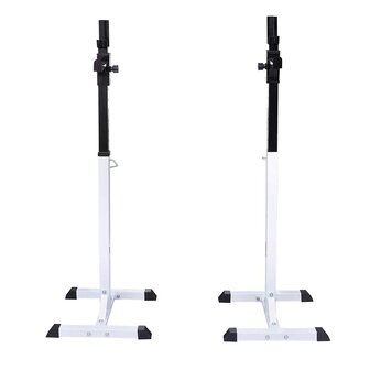 Halter- en gewichtenstandaard 2