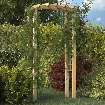 Tuinboog 110x60x210 cm ge&amp;iuml;mpregneerd massief grenenhout 1