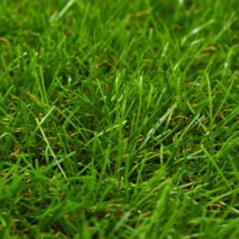 Kunstgras 1x15 m/40 mm groen 2
