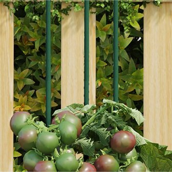 Plantenstaken 30 st 90 cm staal groen 1