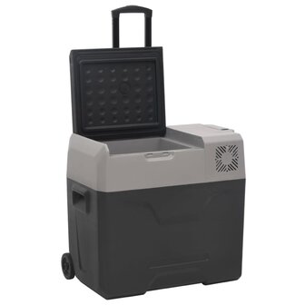 Koelbox met wielen en adapter 50 L polypropeen zwart en grijs 3