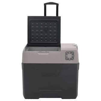 Koelbox met wielen en handvat 40 L polypropeen zwart en grijs 6