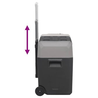 Koelbox met wielen en handvat 40 L polypropeen zwart en grijs 7