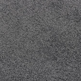 Deurmat 60x80 cm antracietkleurig 5