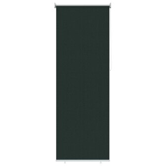 Buitenrolgordijn 90% UV-blok Donkergroen 80x230 cm HDPE 2