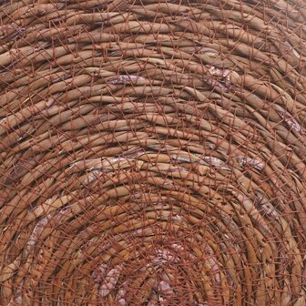 Zeegroene placemats 12 st Bruin 100% Zeegras 4