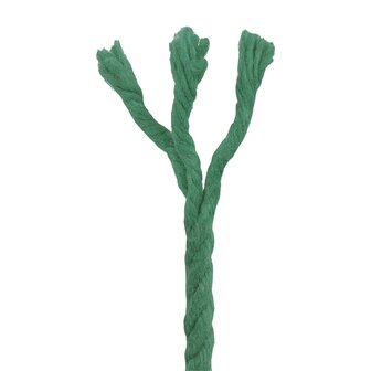 Touw Groen 0,4 x 0,4 x 10000 cm Katoen 4
