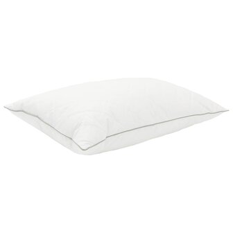 Hoofdkussen FULDA 2 st 30 x 50 cm 100% Ganzendons en Veer Wit 3