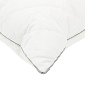 Hoofdkussen FULDA 2 st 40 x 60 cm 100% Ganzendons en Veer Wit 5