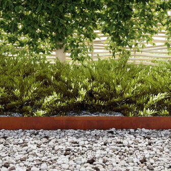 Tuinrand 450 x 10 cm weervast staal Roestig 5