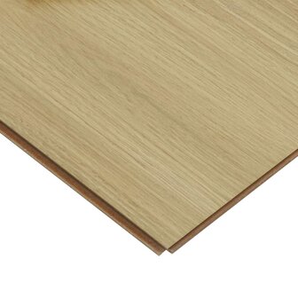 Laminaatvloer Zacht Cr&egrave;me 101 x 20 x 0,8 cm 5 st Bewerkt hout 4