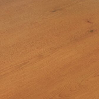 Laminaatvloer Zand Beige 101 x 20 x 0,8 cm 15 st Bewerkt hout 5