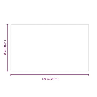 Vuurplaats Glazen Plaat Transparant 100 x 60 cm Glas 7