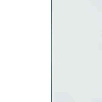 Vuurplaats Glazen Plaat Transparant 100 x 60 cm Glas 6